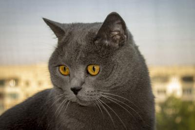 Прикрепленное изображение: IMG_1853+.jpg